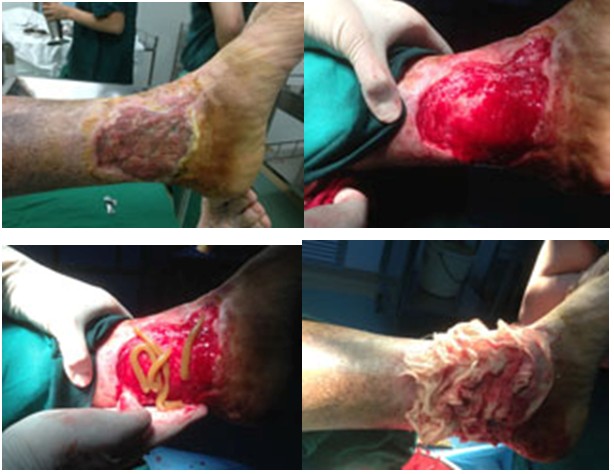 bevictor伟德官网-韦德官方网站