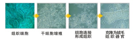 bevictor伟德官网-韦德官方网站