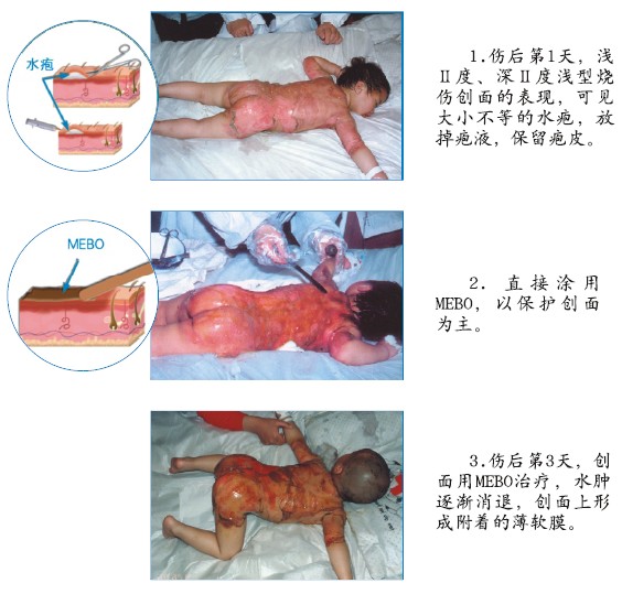 bevictor伟德官网-韦德官方网站