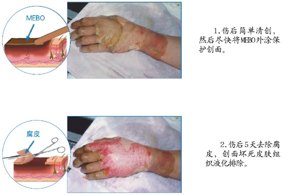 bevictor伟德官网-韦德官方网站