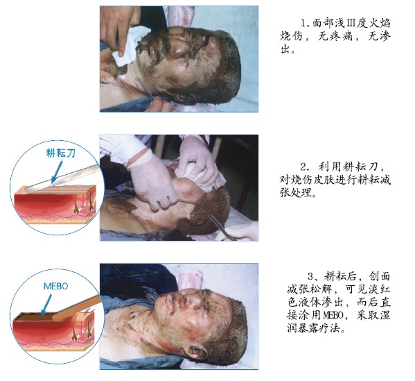 bevictor伟德官网-韦德官方网站