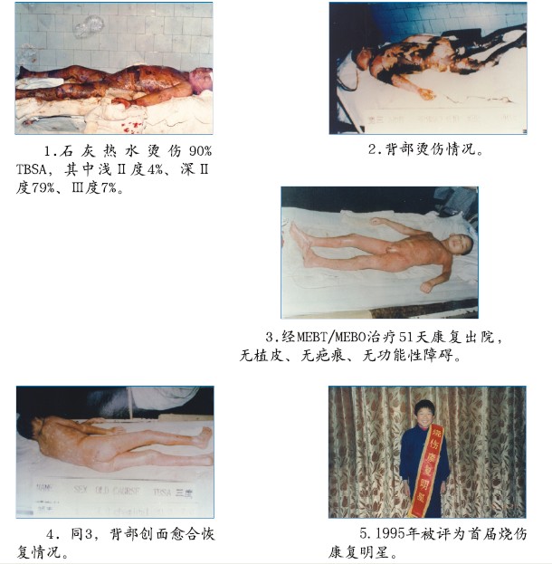 bevictor伟德官网-韦德官方网站