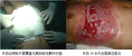 bevictor伟德官网-韦德官方网站