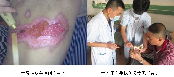 bevictor伟德官网-韦德官方网站