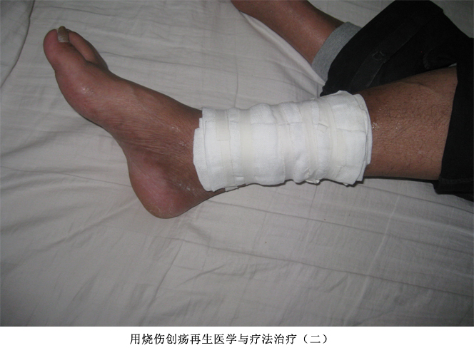 bevictor伟德官网-韦德官方网站