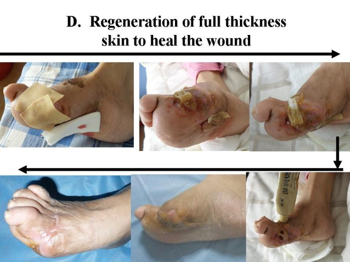 bevictor伟德官网-韦德官方网站