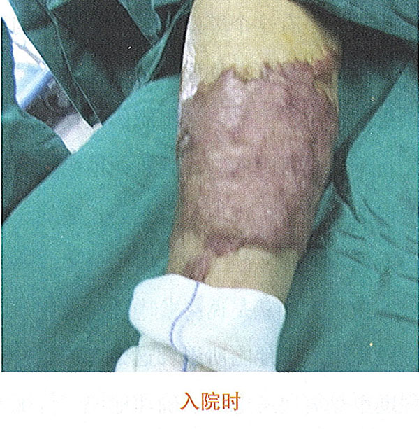 bevictor伟德官网-韦德官方网站